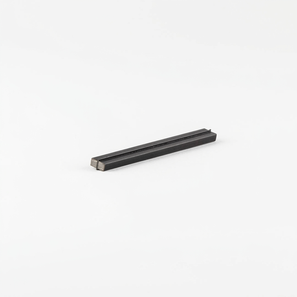 Magnetic Rail